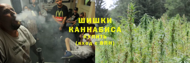 Каннабис OG Kush  MEGA ссылка  Пугачёв 